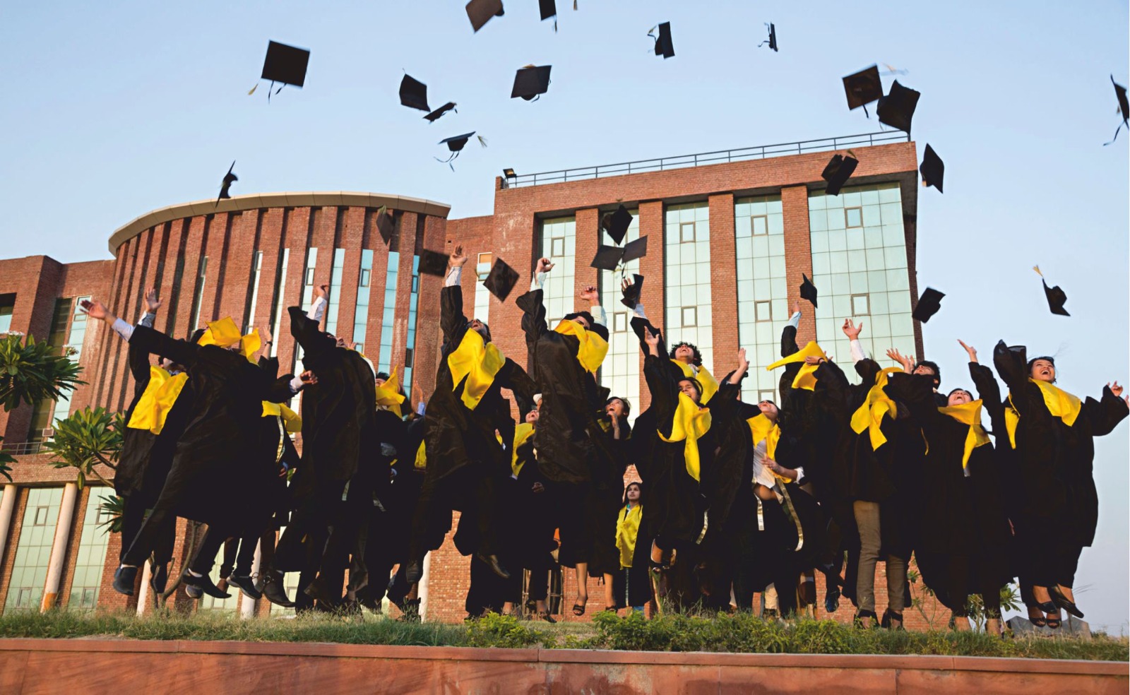 School of Management